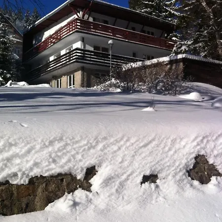 Marant شكلارسكا بوريبا